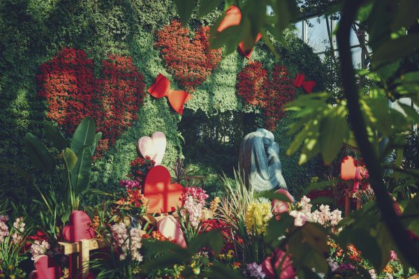 神戸布引ハーブ園／ロープウェイ
