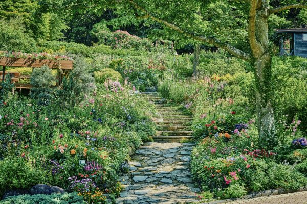 神戸布引ハーブ園／ロープウェイ