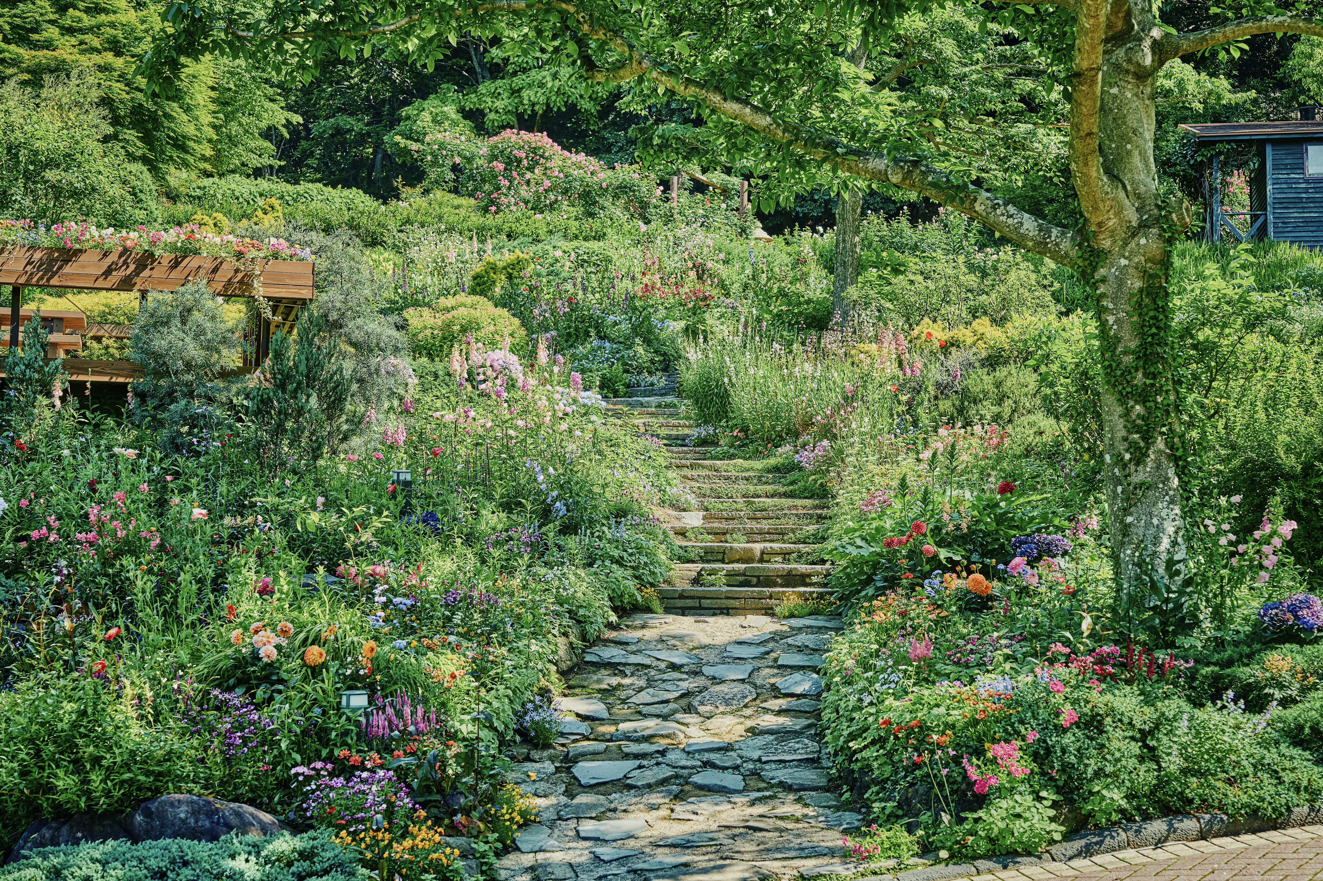 神戸布引ハーブ園／ロープウェイ
