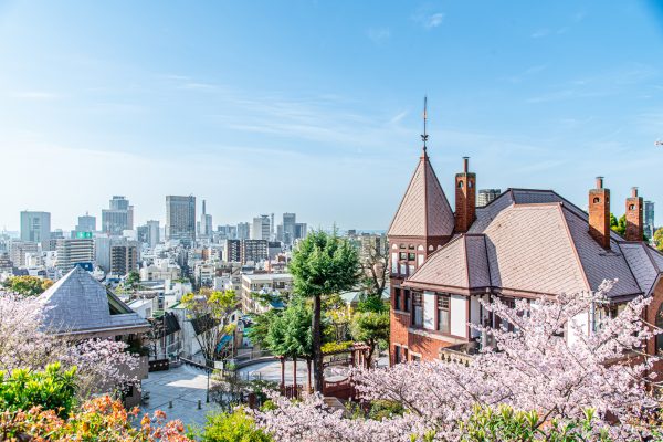 北野天満神社　風見鶏の館　桜