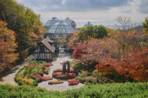 神戸布引ハーブ園／ロープウェイ