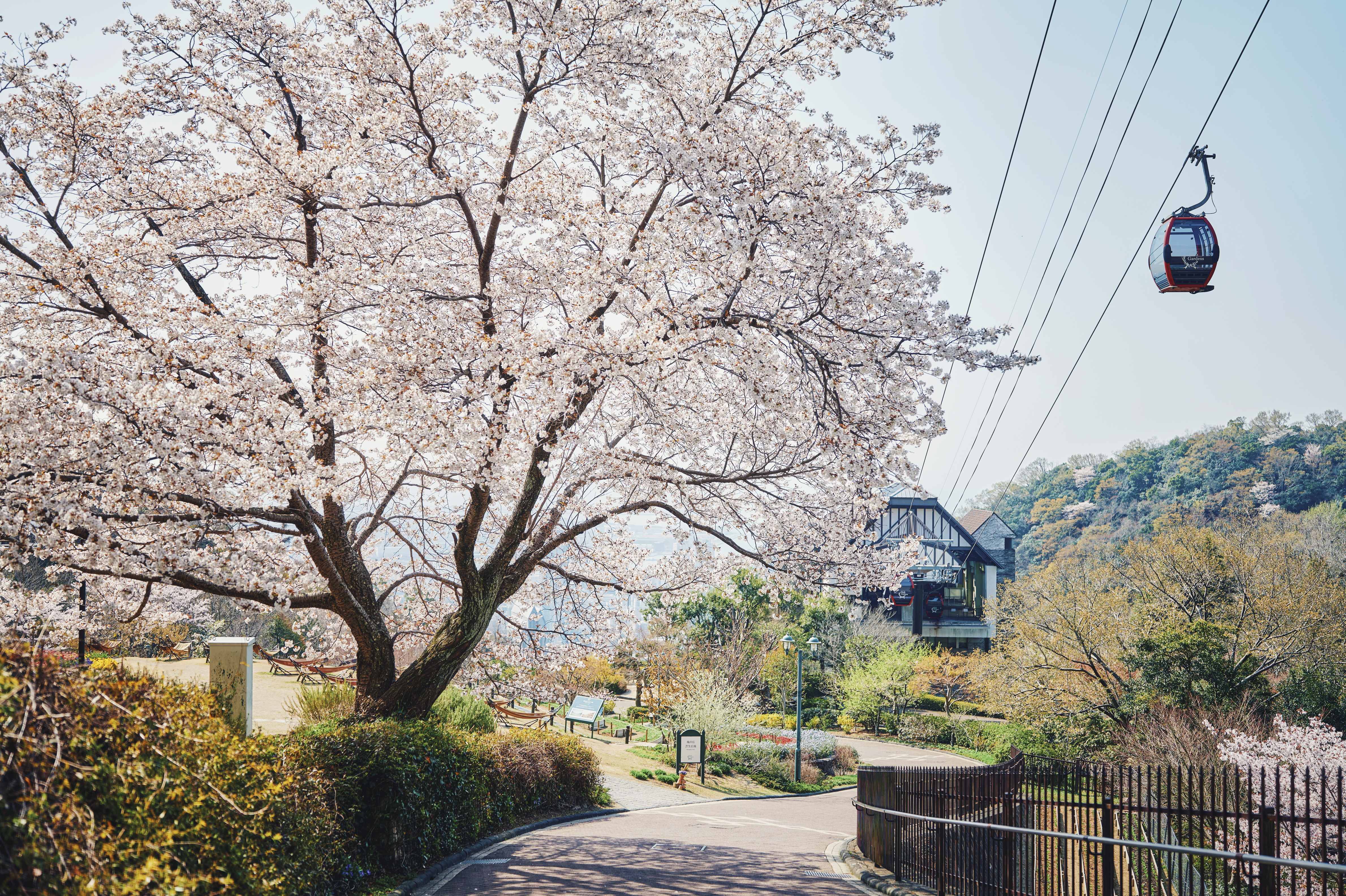 神戸布引ハーブ園／ロープウェイ