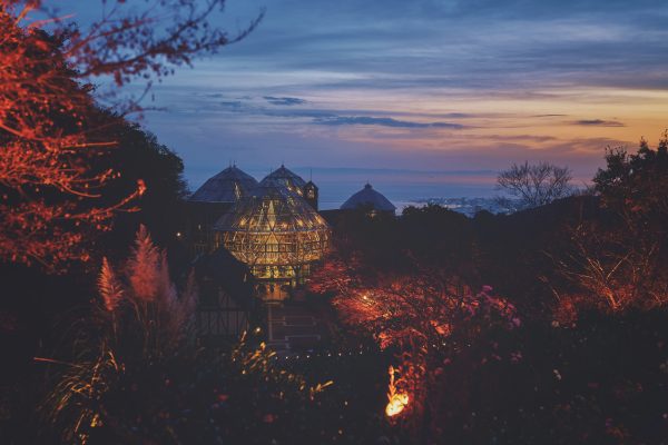 神戸布引ハーブ園／ロープウェイ