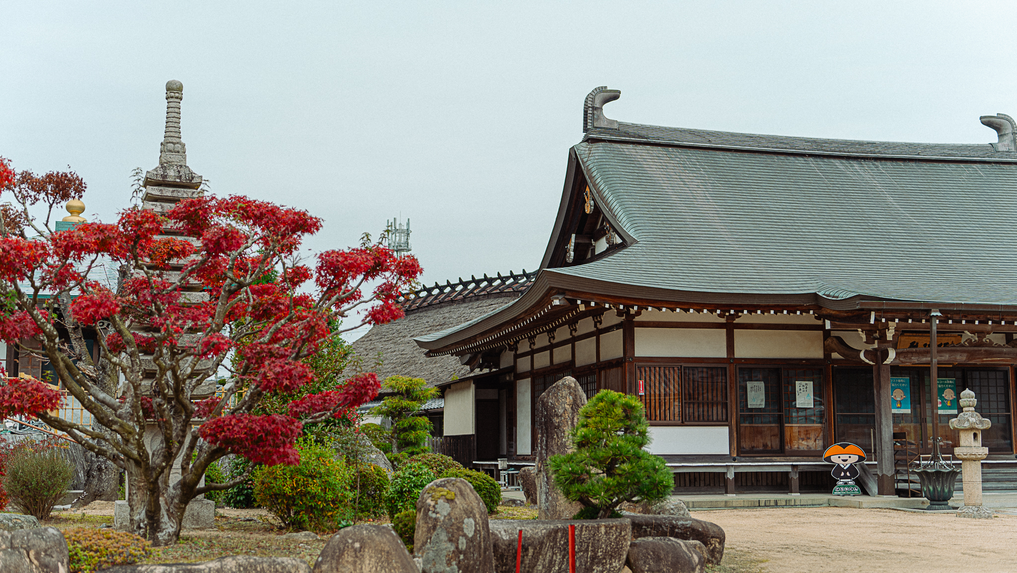 寿福寺