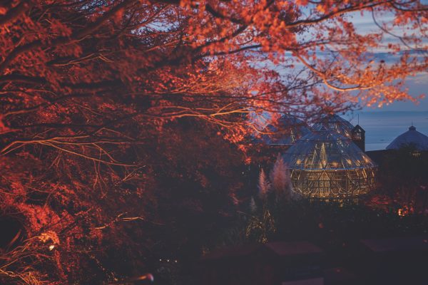 神戸布引ハーブ園／ロープウェイ