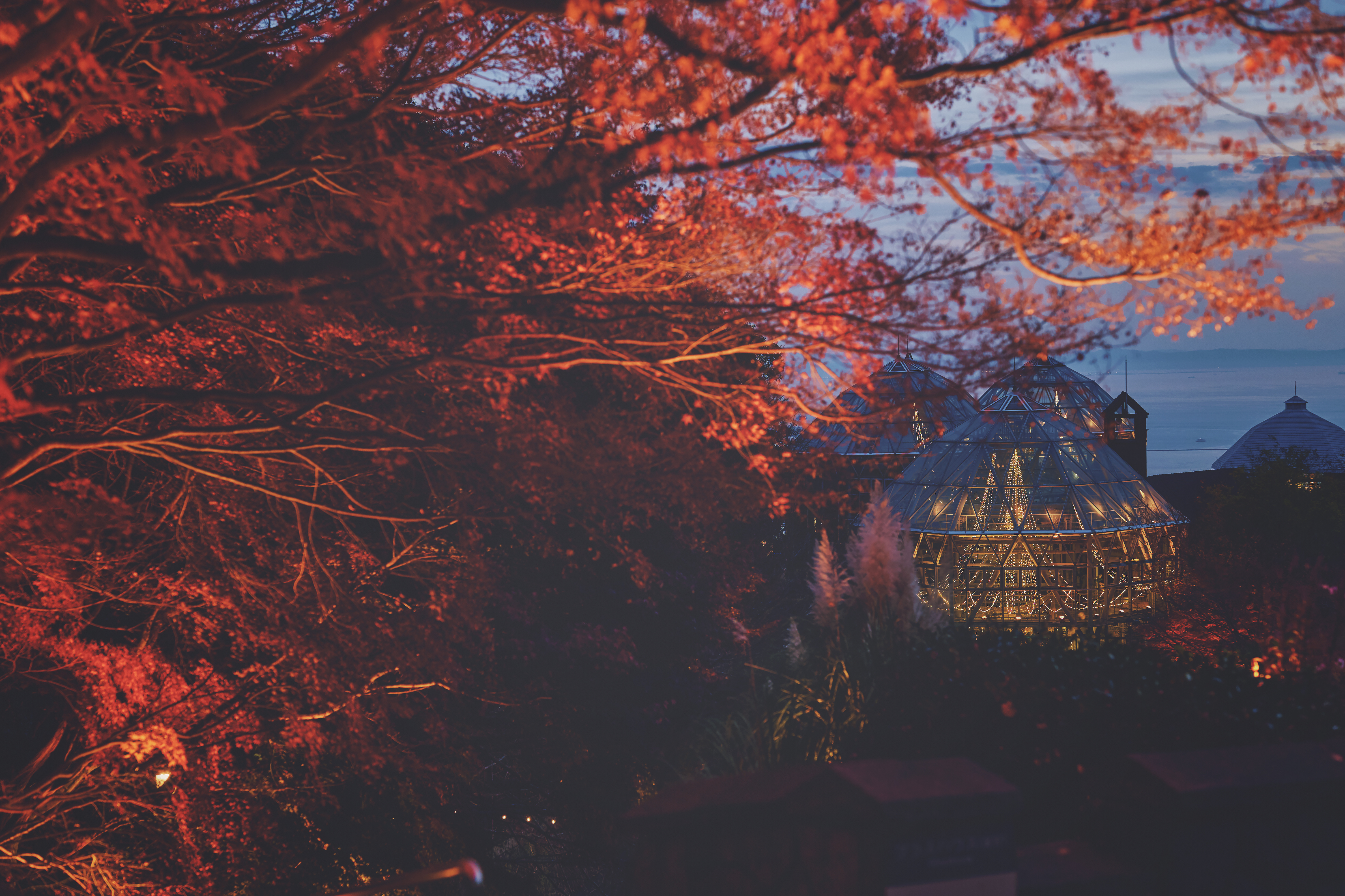 神戸布引ハーブ園／ロープウェイ