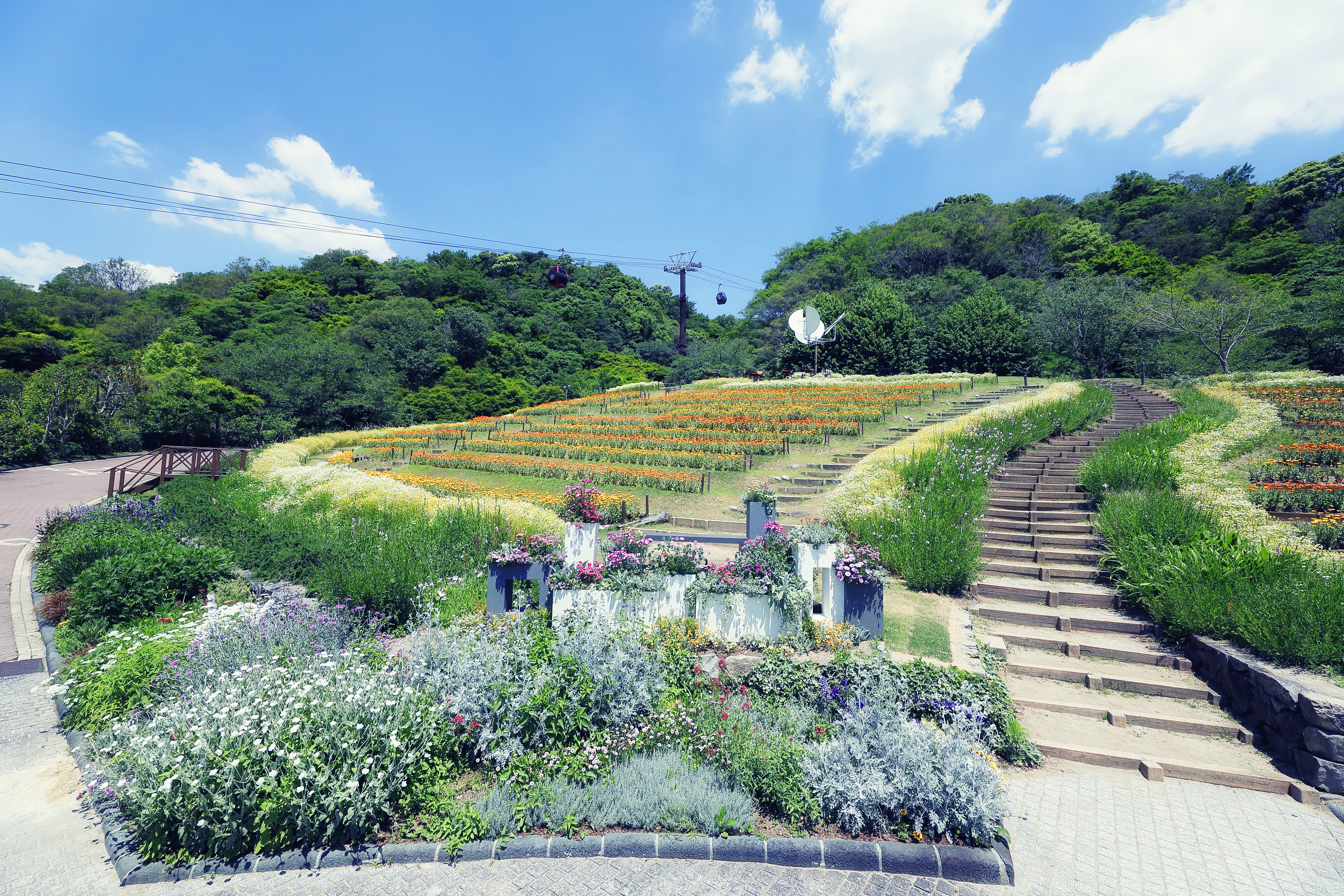 神戸布引ハーブ園／ロープウェイ