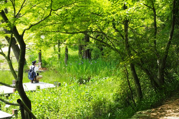 神戸市立森林植物園