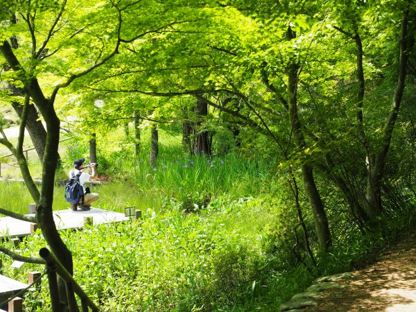 神戸市立森林植物園