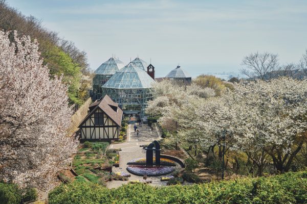 神戸布引ハーブ園／ロープウェイ