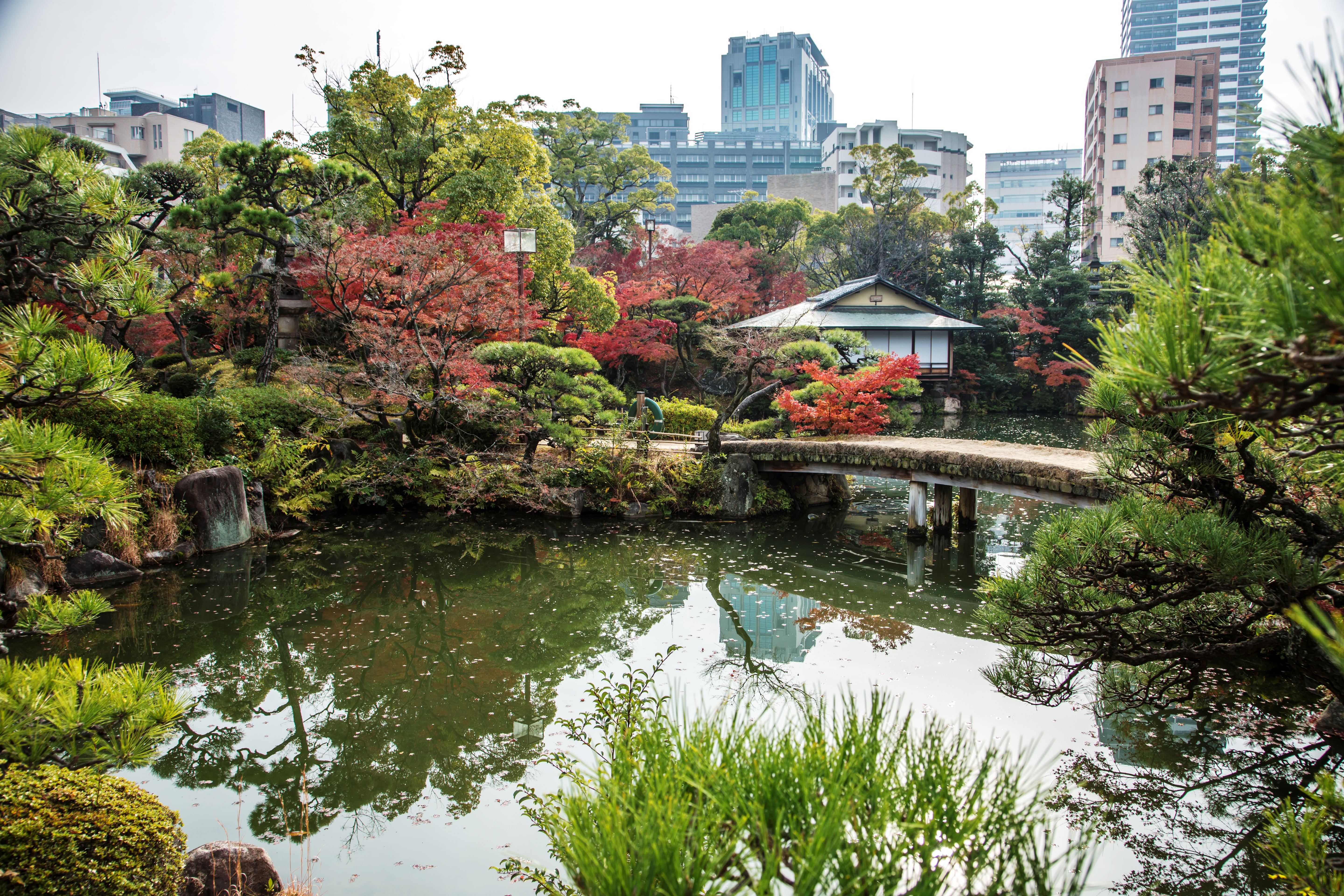 相楽園