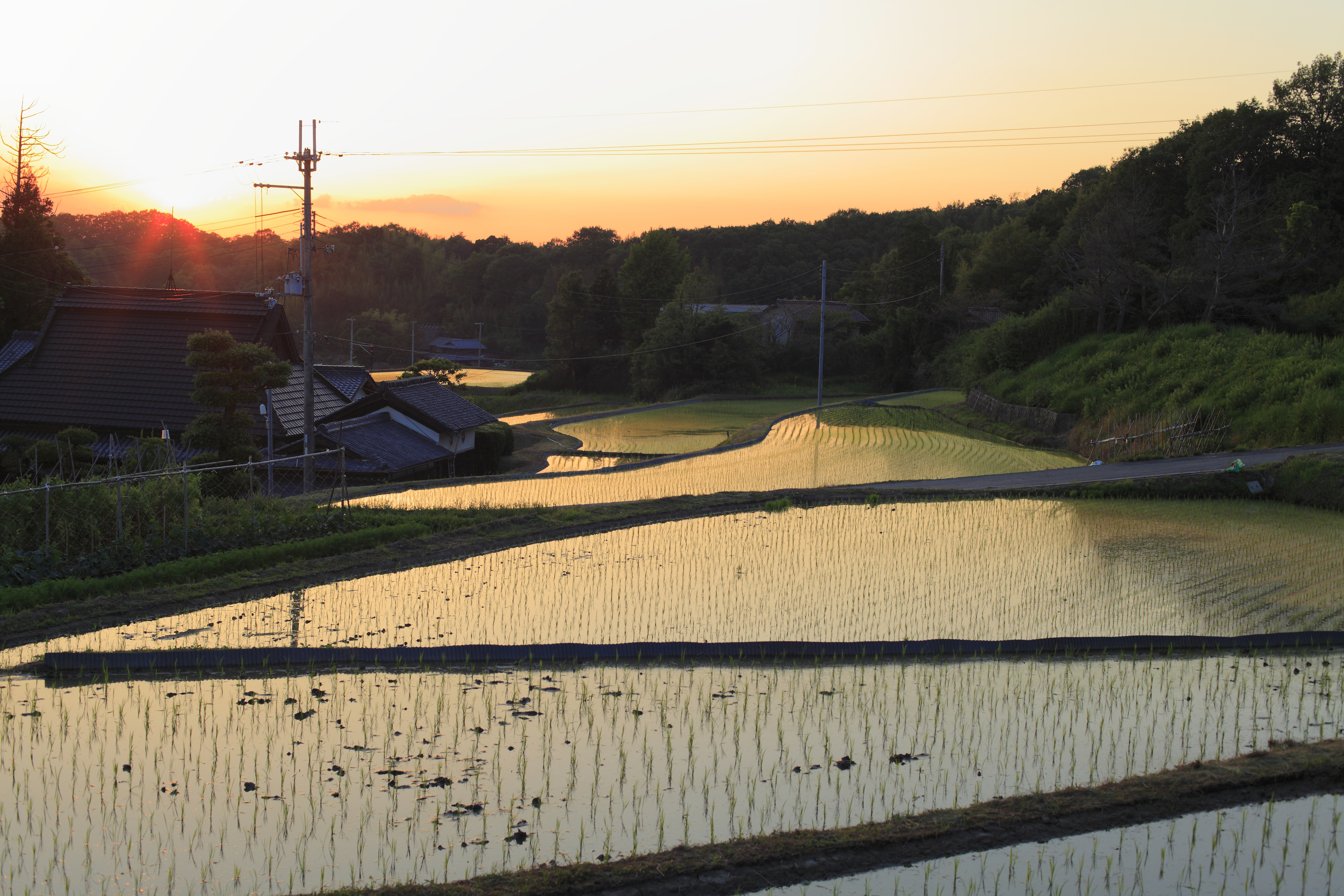 淡河の風景