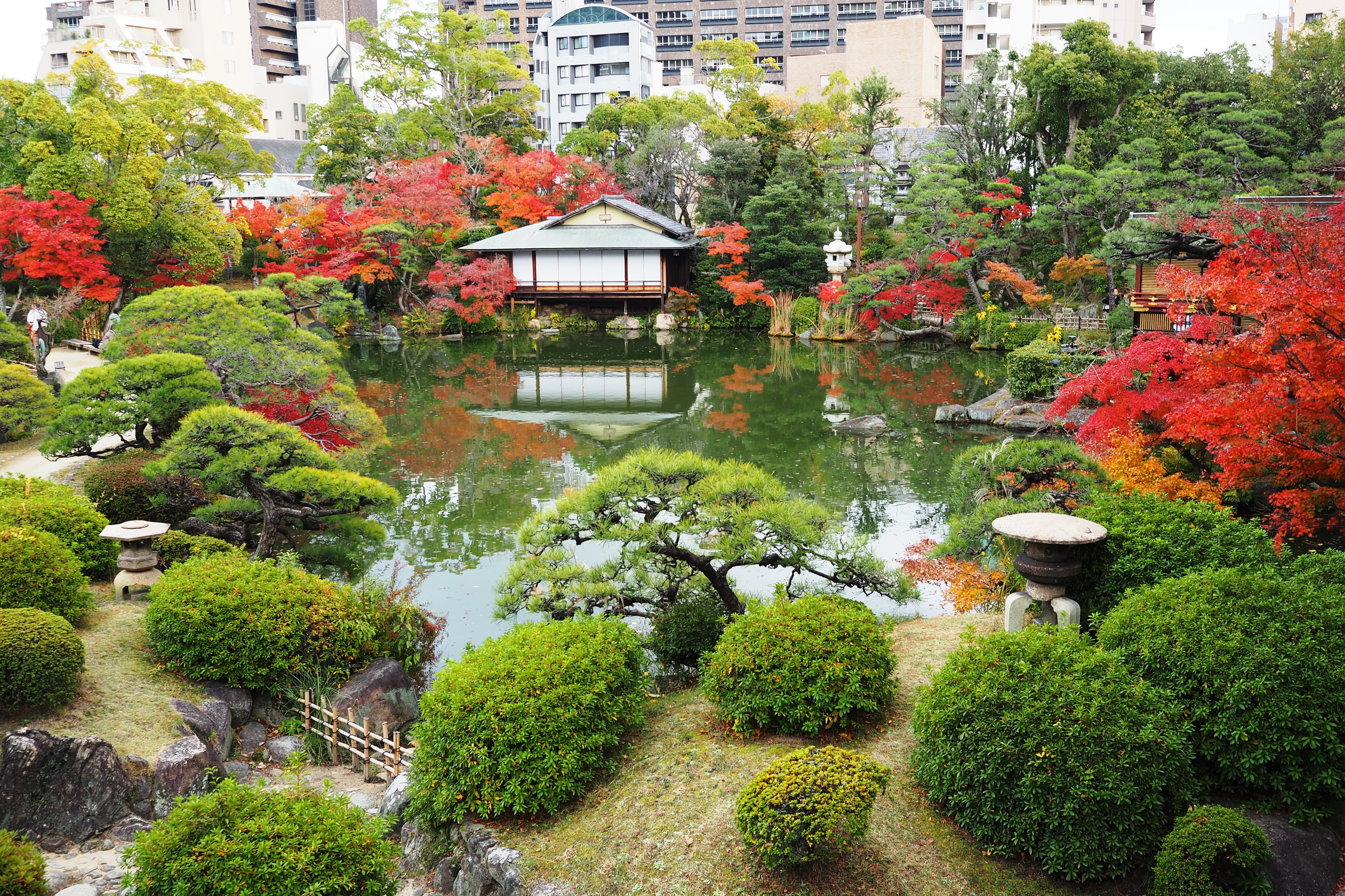 相楽園／紅葉