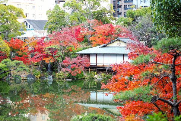 相楽園／紅葉