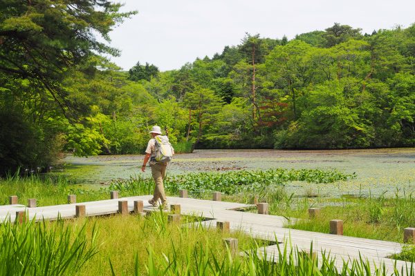 神戸市立森林植物園