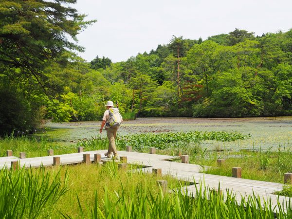 神戸市立森林植物園