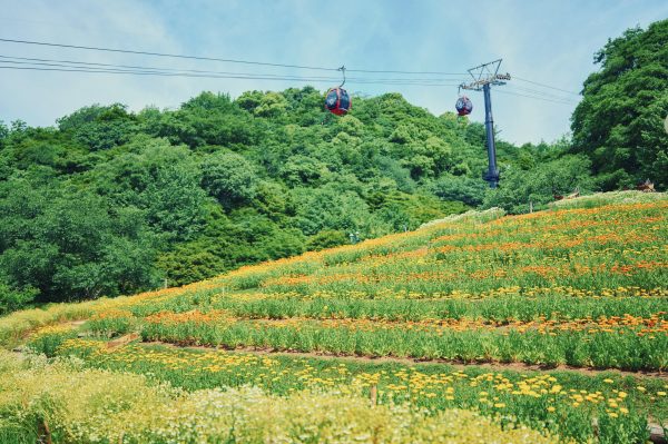 神戸布引ハーブ園／ロープウェイ
