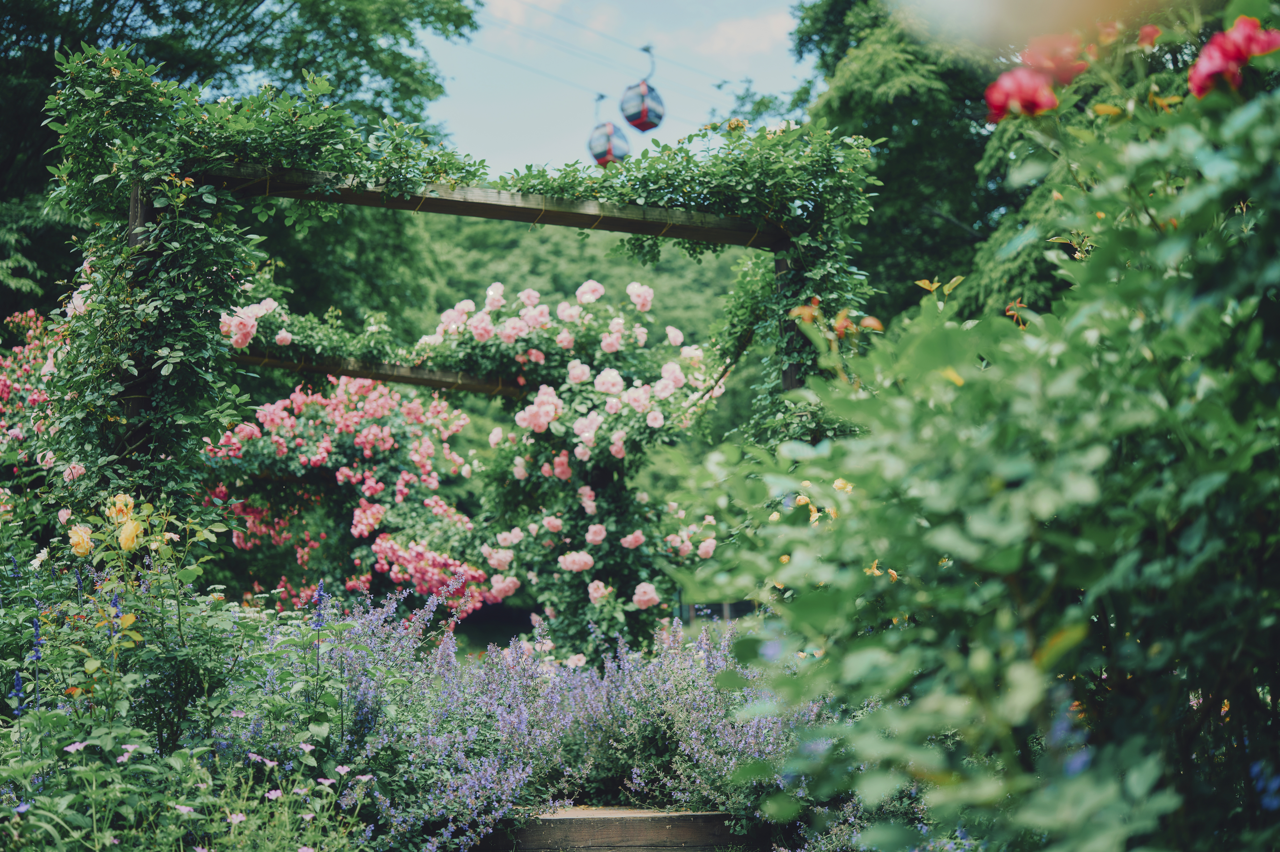 神戸布引ハーブ園／ロープウェイ
