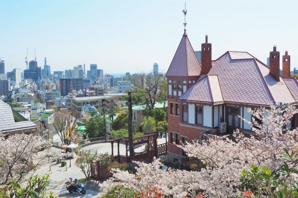 北野天満神社 風見鶏の館 桜