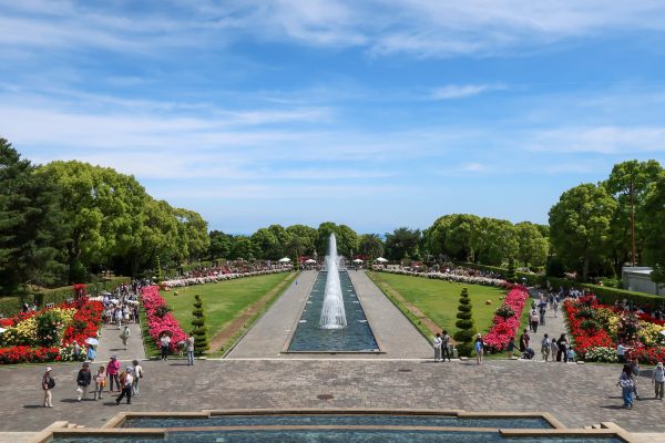 須磨離宮公園　バラ園