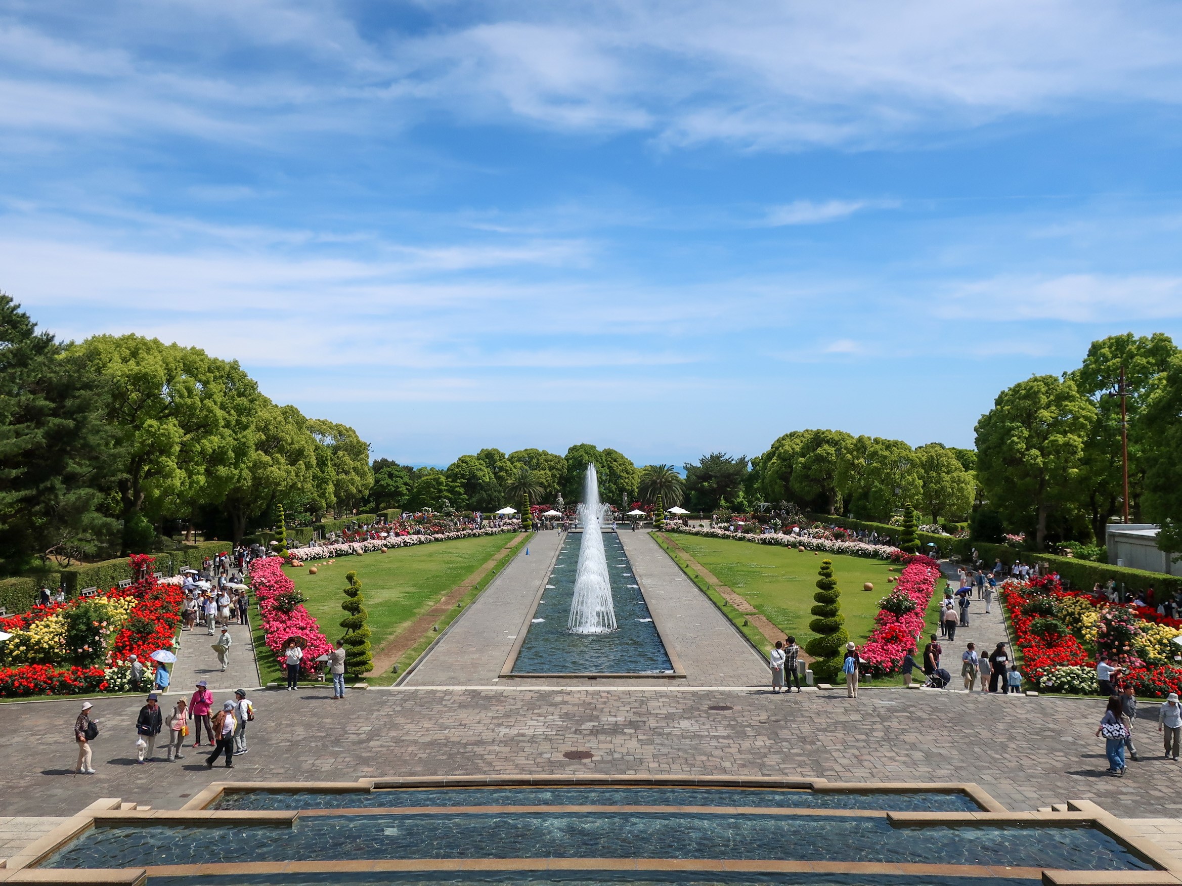 須磨離宮公園　バラ園