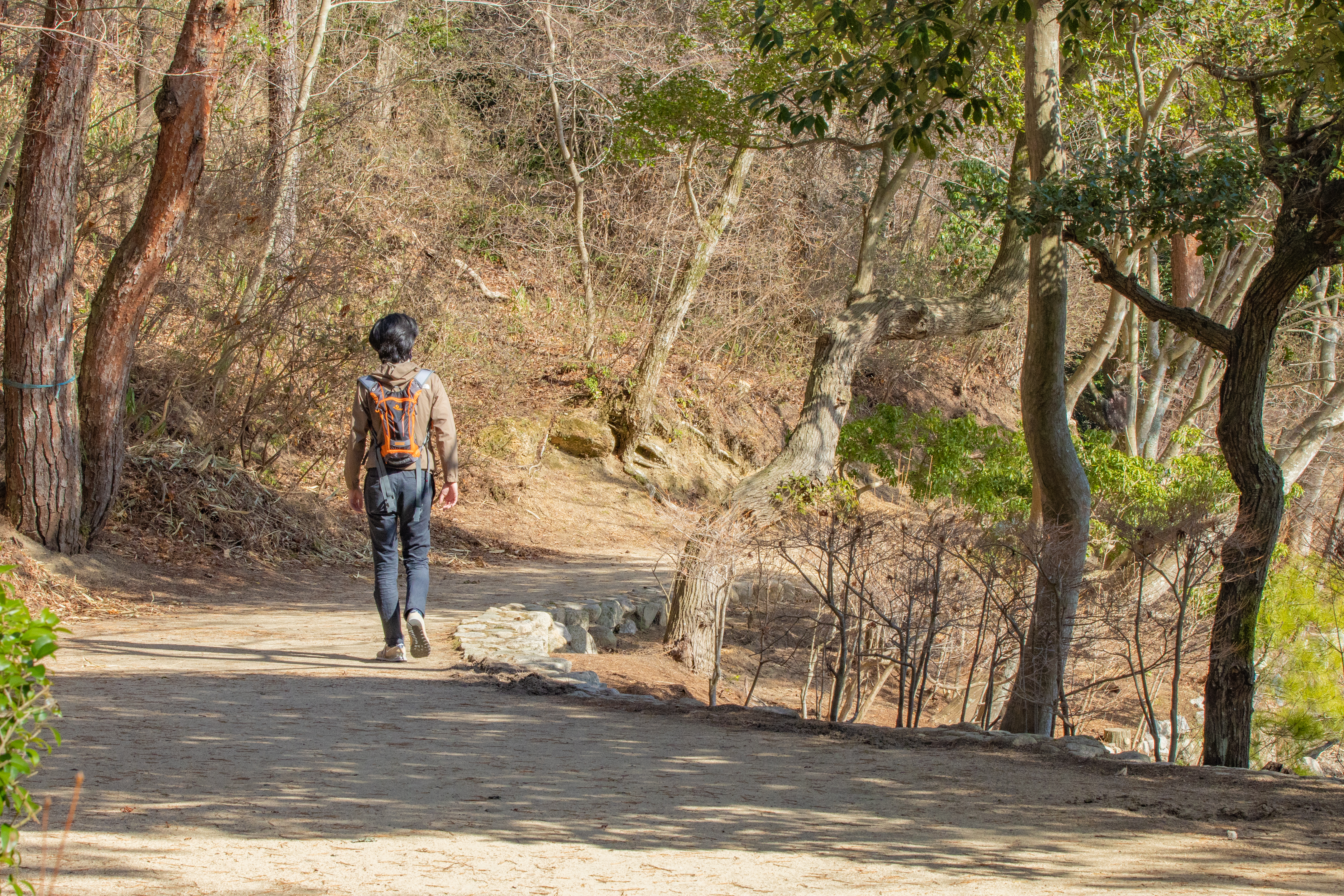 再度公園