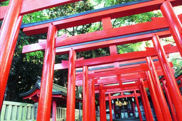 生田神社