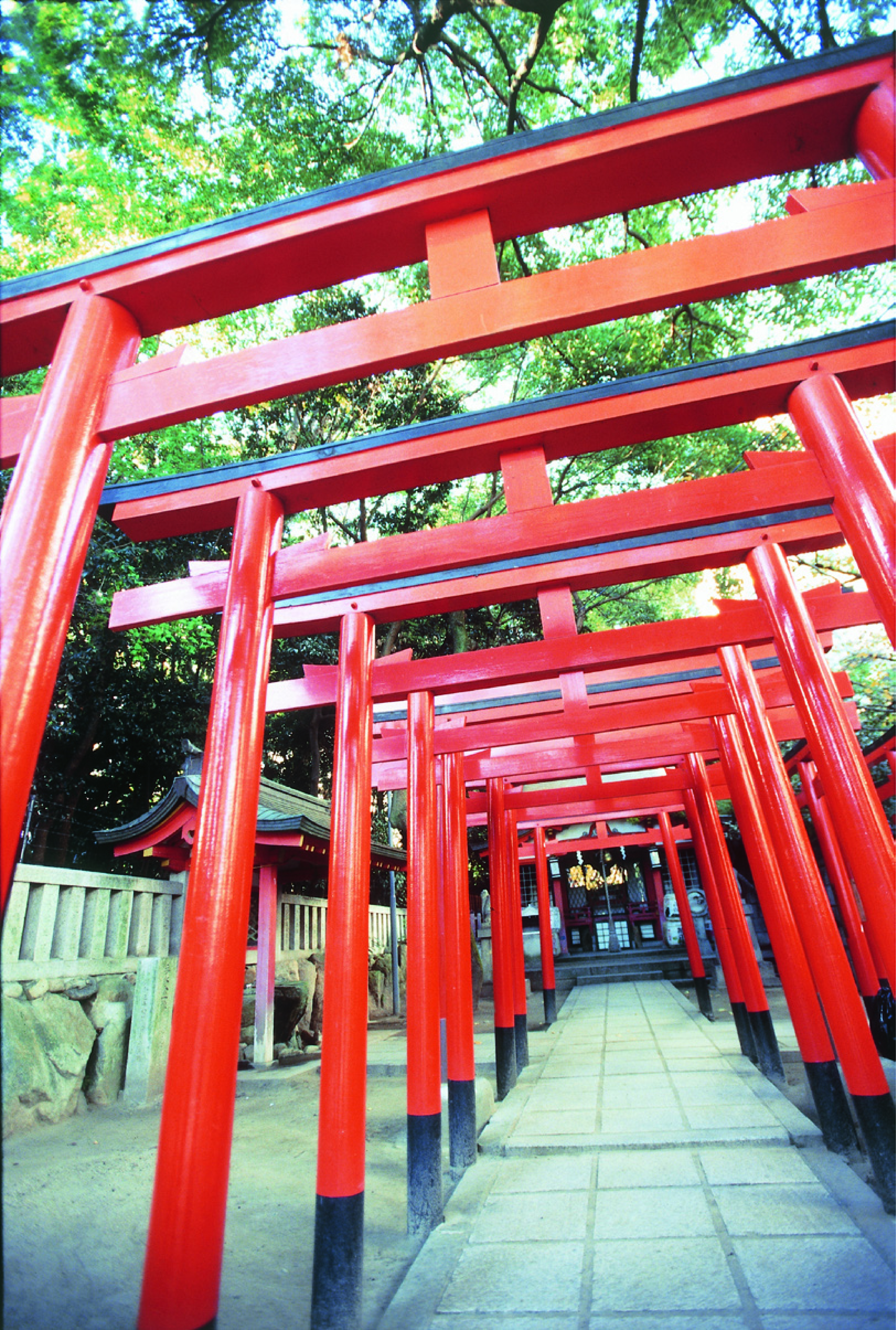 生田神社