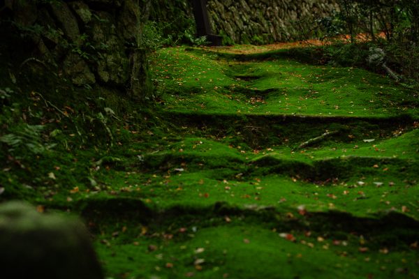 無動寺