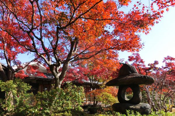 須磨離宮公園　和庭園