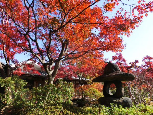 須磨離宮公園　和庭園