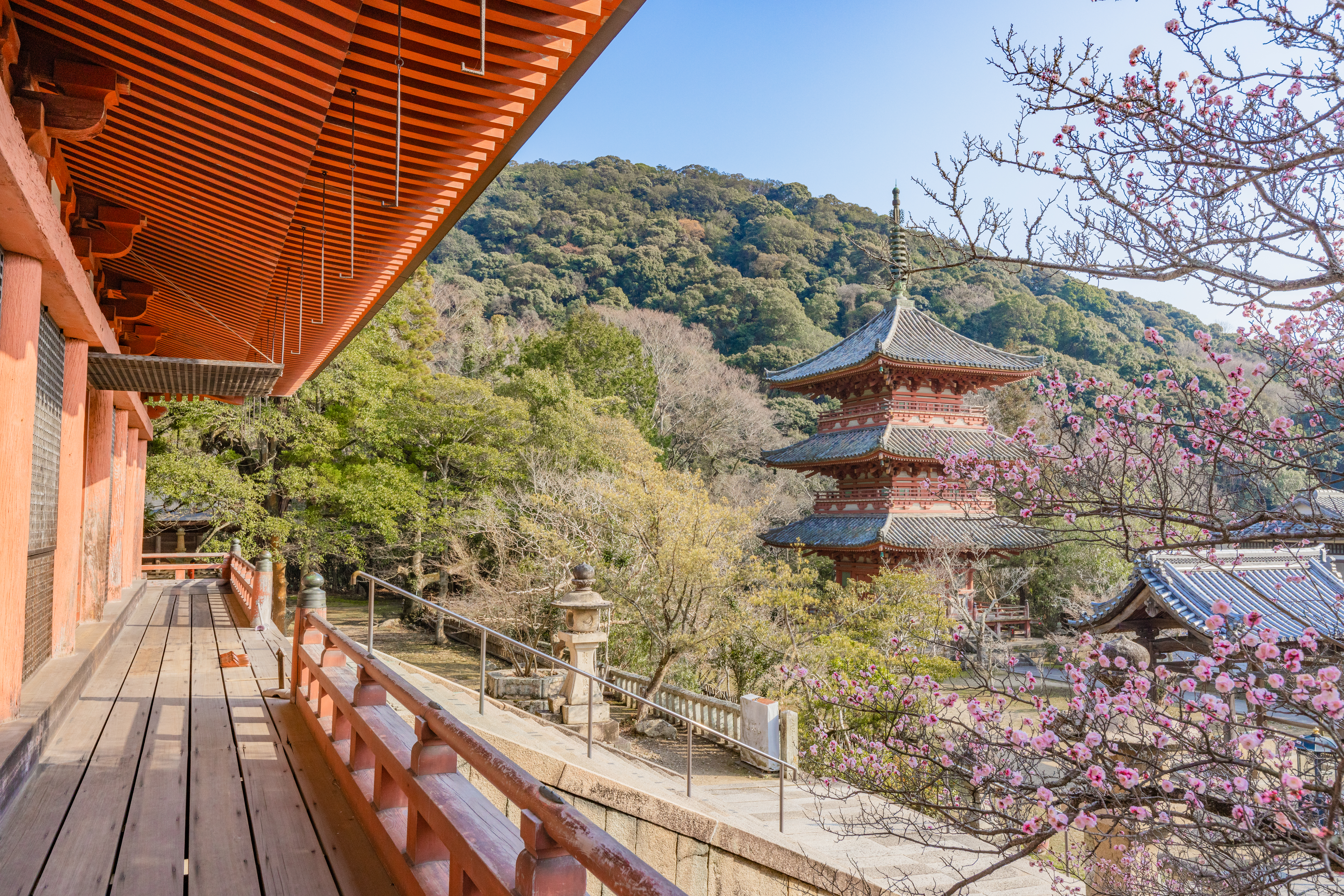 三身山 太山寺