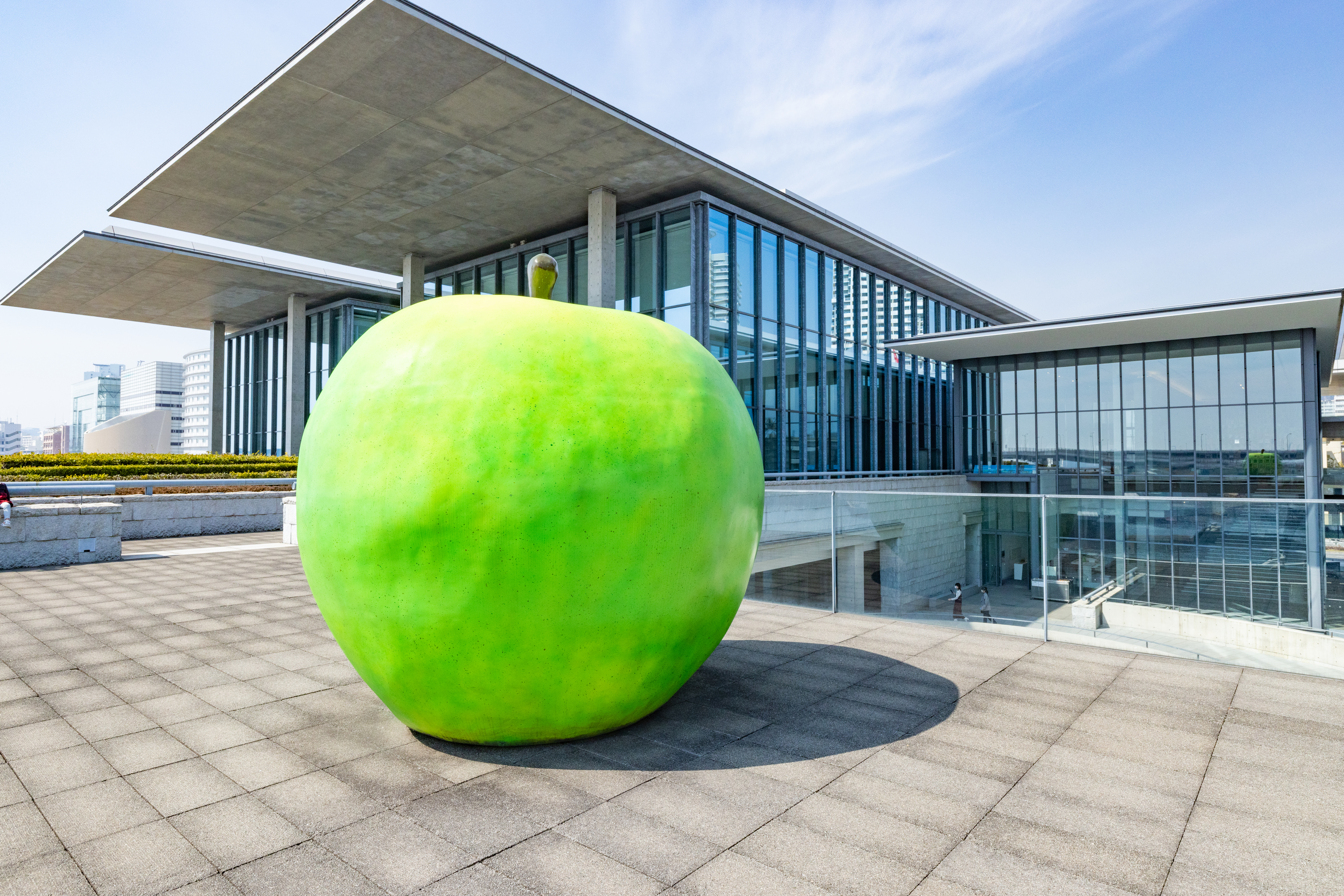 兵庫県立美術館 青いりんご