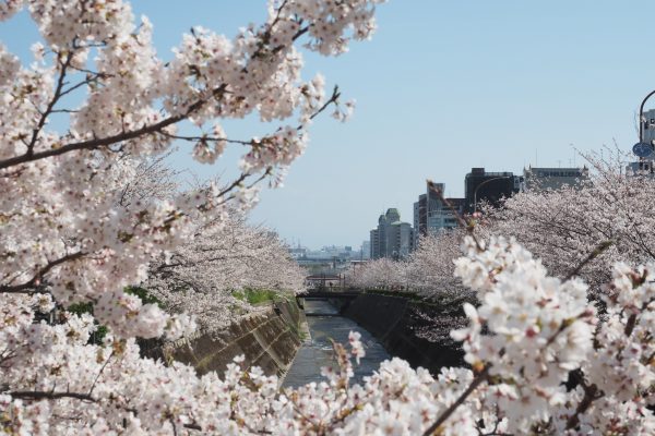 生田川公園