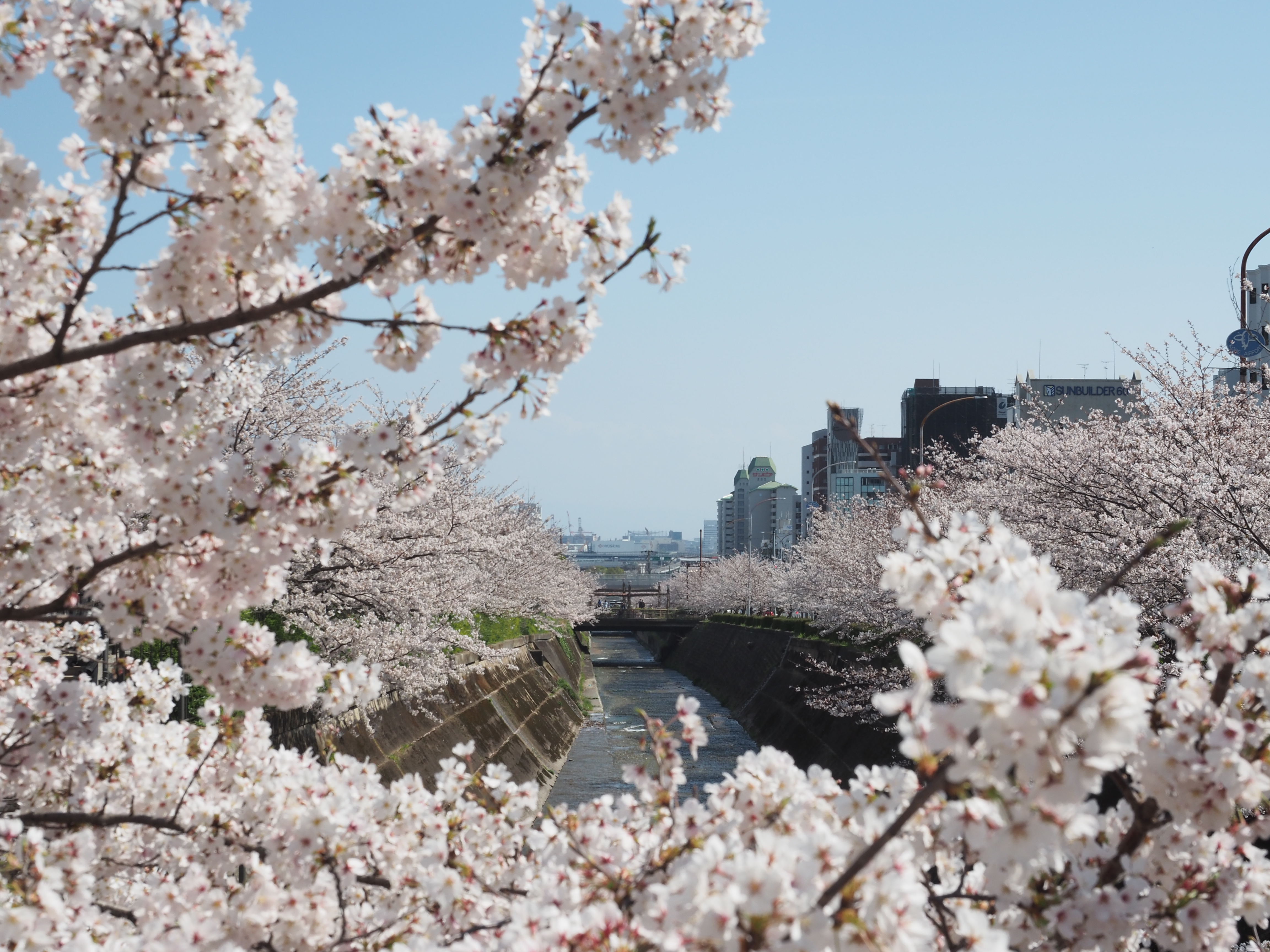 生田川公園