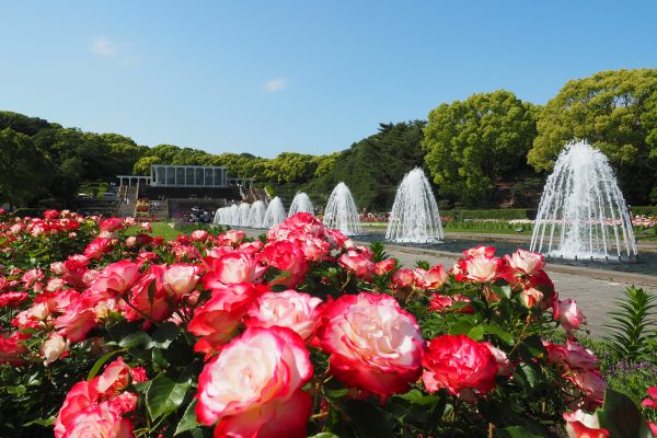 須磨離宮公園