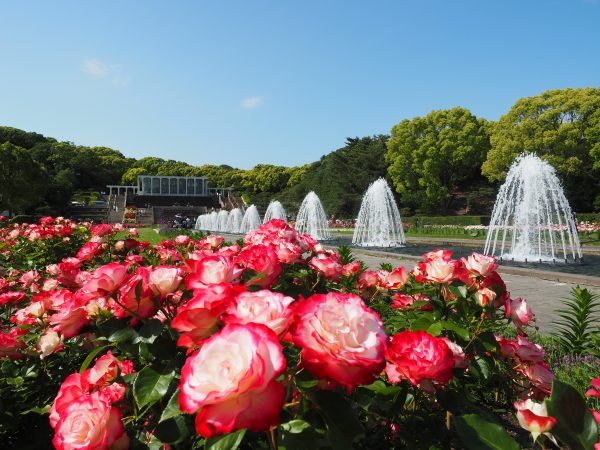 須磨離宮公園