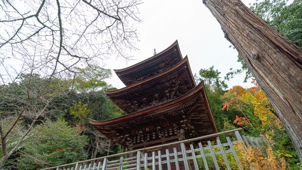 六條八幡宮