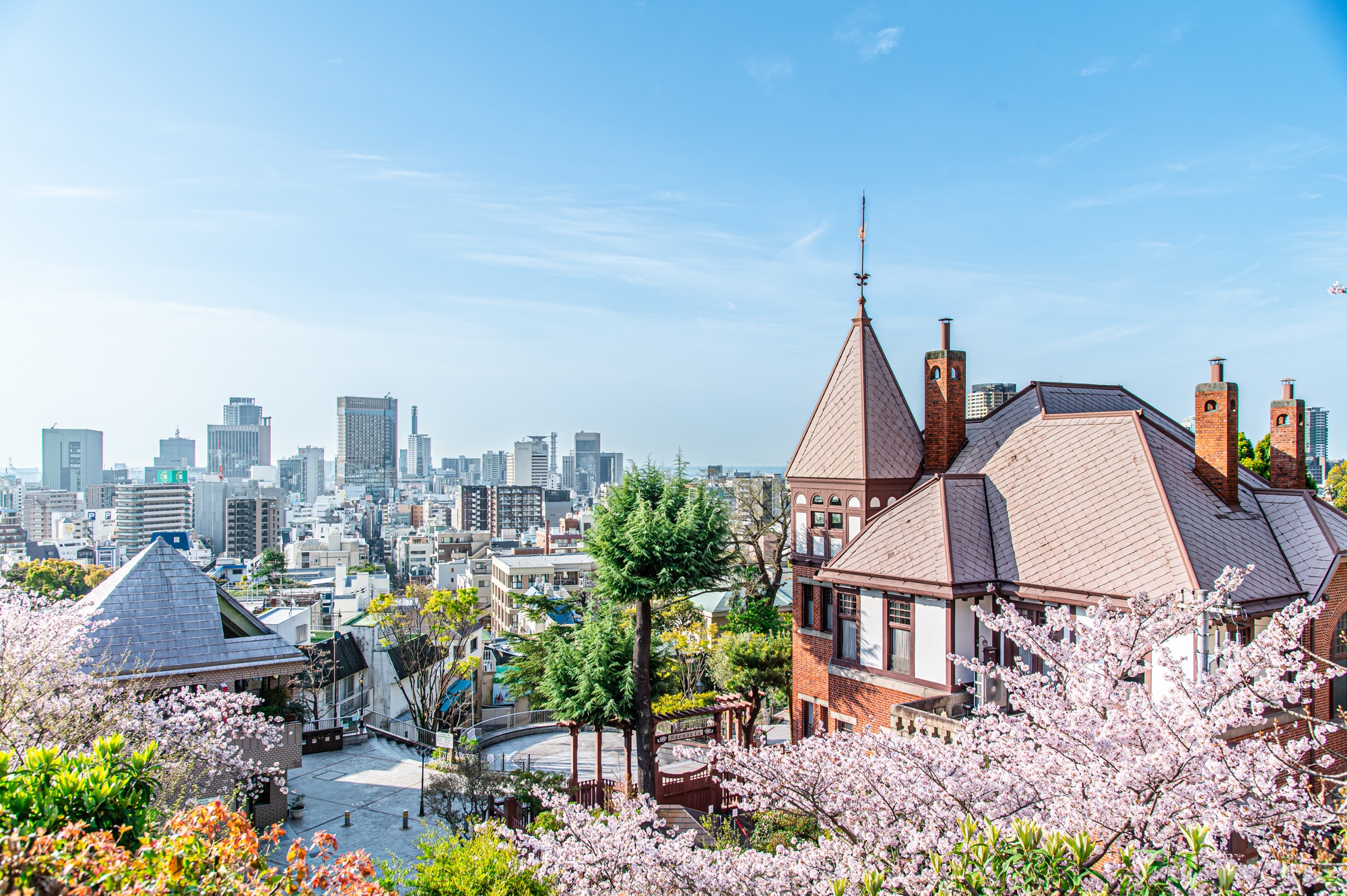 北野天満神社　風見鶏の館　桜