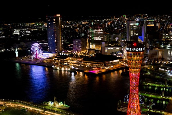 すべての美しい花の画像 綺麗な夜景 壁紙 スマホ 高画質 すべての美しい花の画像 綺麗な夜景 壁紙 スマホ 高画質