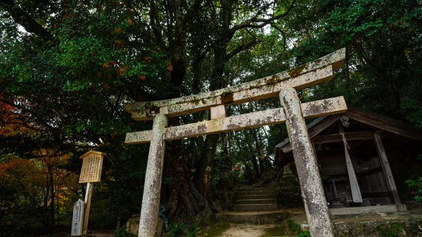 福地若王子神社