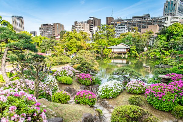 相楽園 つつじ