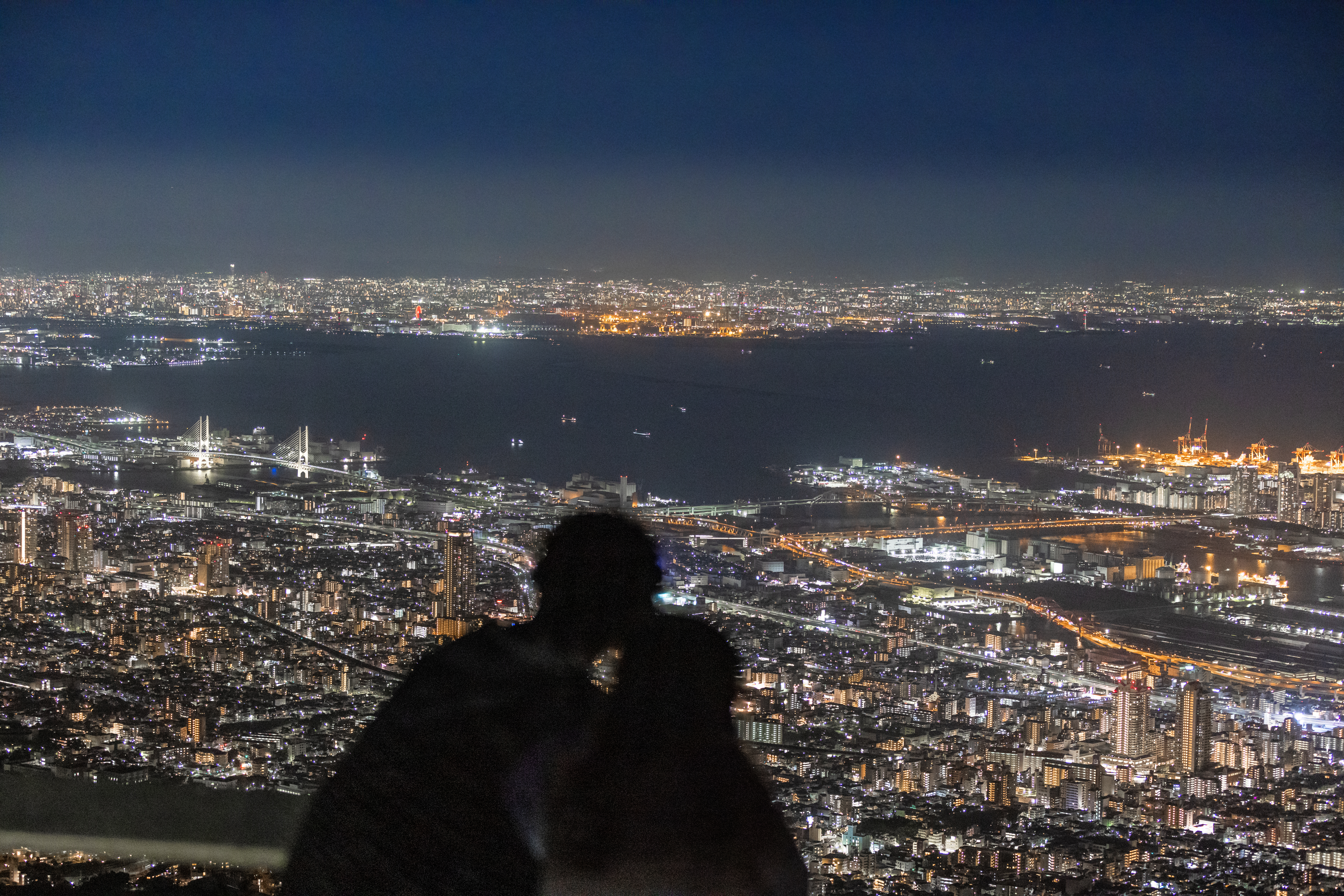 摩耶山 掬星台 夜景