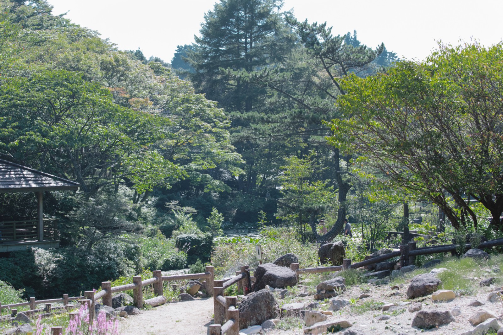 六甲高山植物園