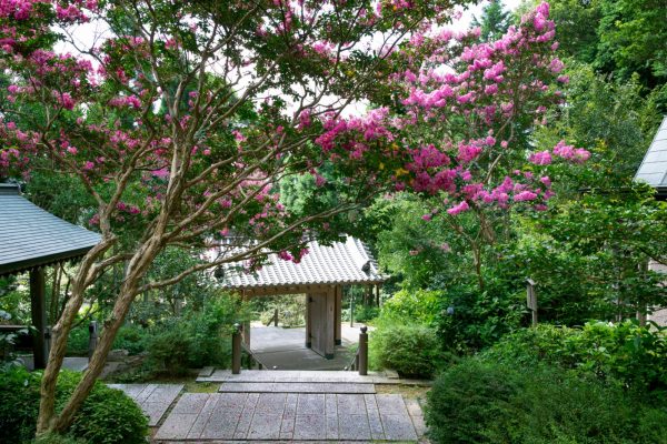 摩耶山天上寺