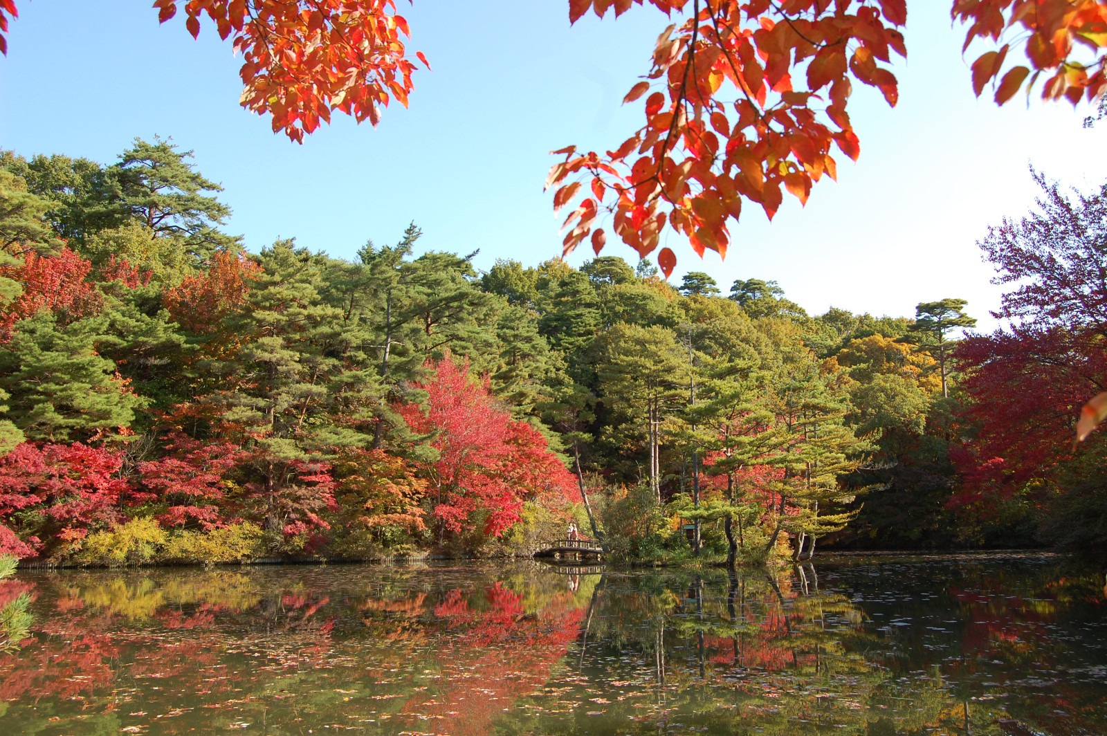 神戸市立森林植物園