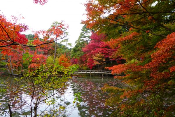 神戸市立森林植物園