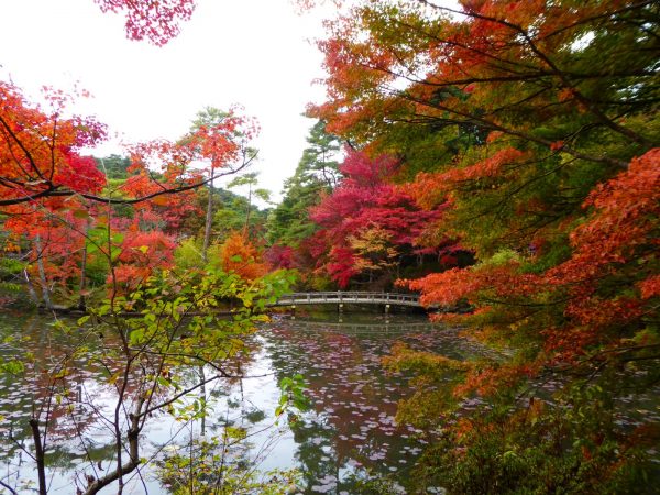 神戸市立森林植物園