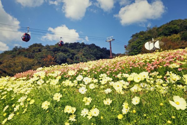 神戸布引ハーブ園／ロープウェイ