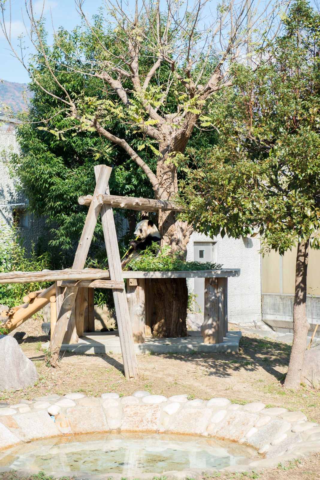 王子動物園